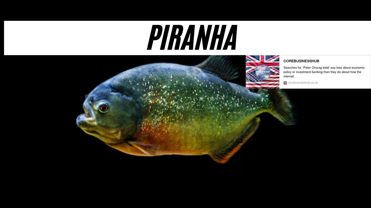 Piragnia