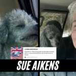 sue aikens